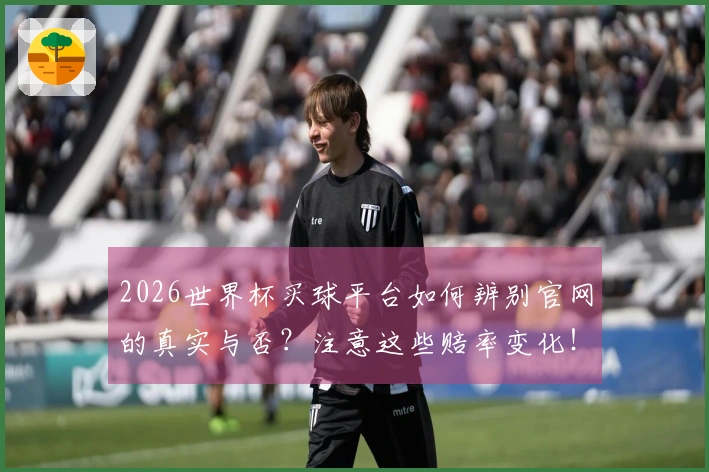 2026世界杯买球平台如何辨别官网的真实与否？注意这些赔率变化！