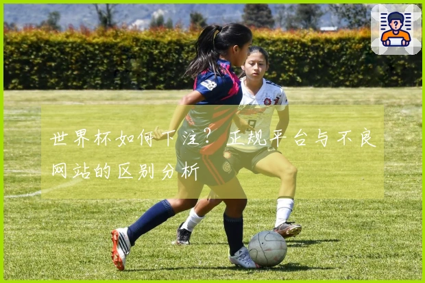 世界杯如何下注？正规平台与不良网站的区别分析