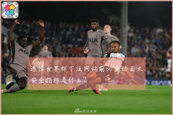 选择世界杯下注网站前必查的五大安全指标是什么？
