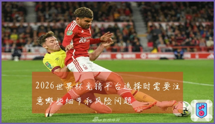 2026世界杯竞猜平台选择时需要注意哪些细节和风险问题