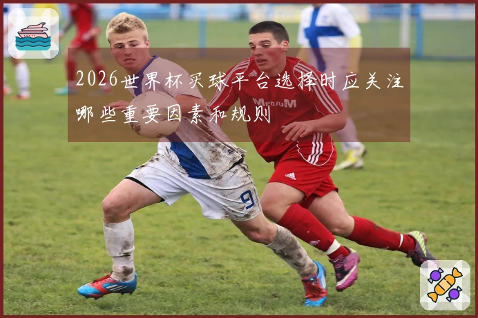 2026世界杯买球平台选择时应关注哪些重要因素和规则