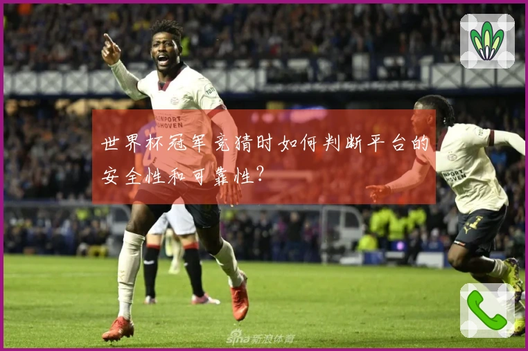 世界杯冠军竞猜时如何判断平台的安全性和可靠性？