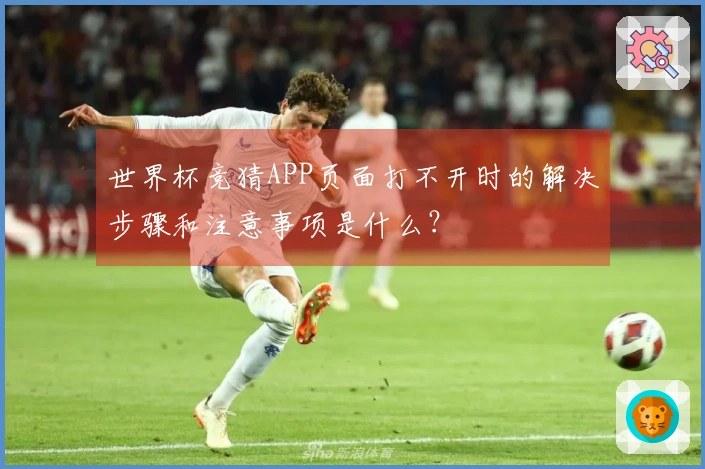 世界杯竞猜APP页面打不开时的解决步骤和注意事项是什么？