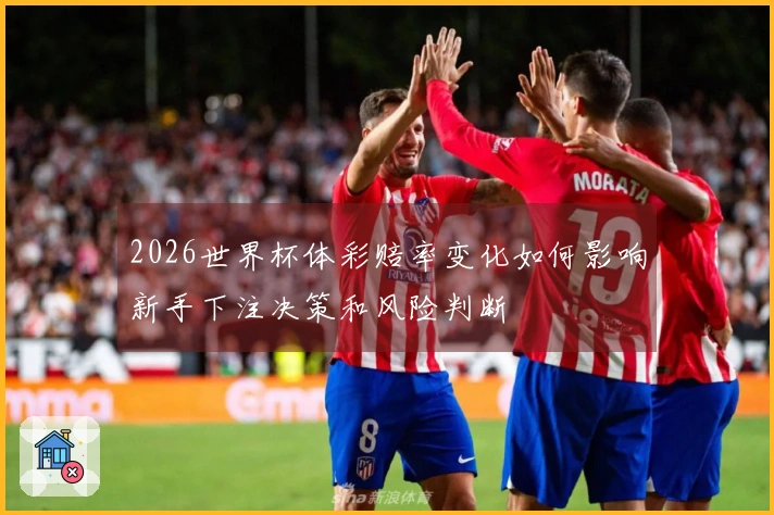 2026世界杯体彩赔率变化如何影响新手下注决策和风险判断