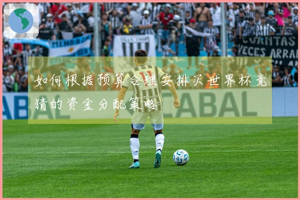 如何根据预算合理安排买世界杯竞猜的资金分配策略