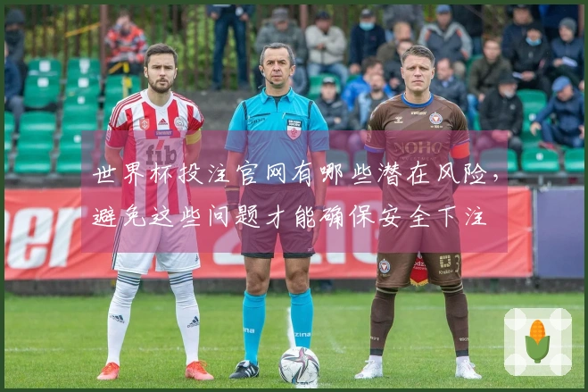 世界杯投注官网有哪些潜在风险，避免这些问题才能确保安全下注
