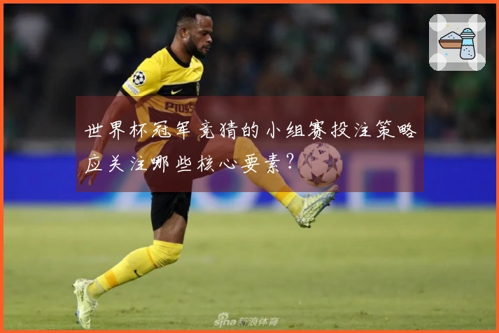 世界杯冠军竞猜的小组赛投注策略应关注哪些核心要素？
