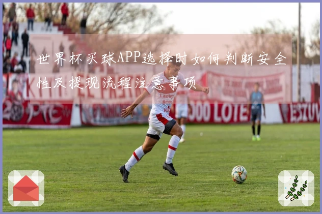 世界杯买球APP选择时如何判断安全性及提现流程注意事项