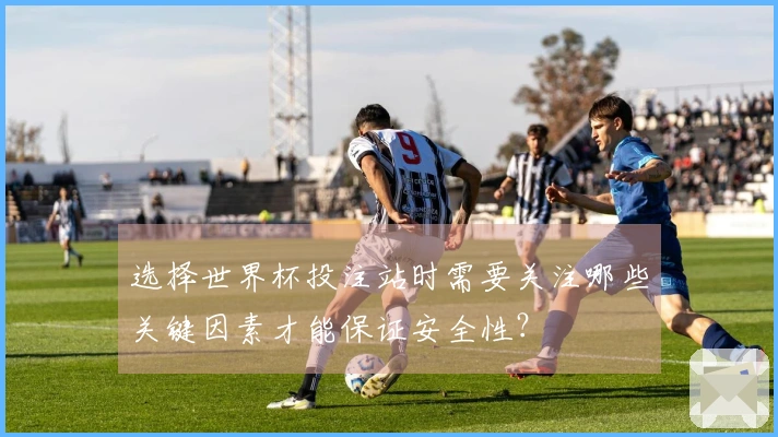 选择世界杯投注站时需要关注哪些关键因素才能保证安全性？