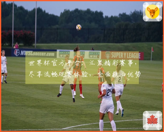 世界杯官方平台：汇聚精彩赛事，尽享流畅观赛体验，全面核心优势一站式掌握