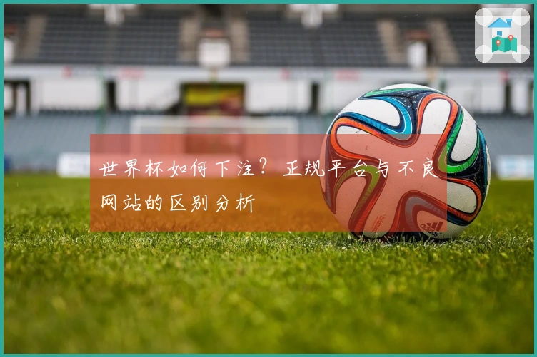 世界杯如何下注？正规平台与不良网站的区别分析