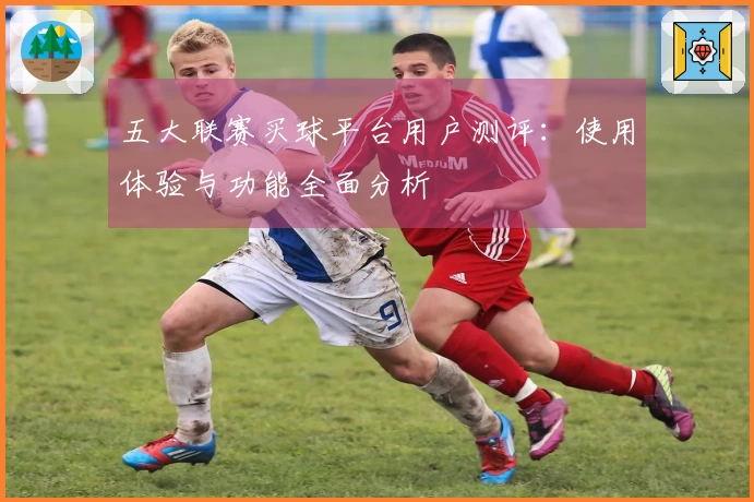 五大联赛买球平台用户测评：使用体验与功能全面分析
