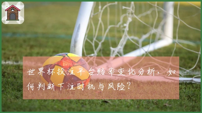 世界杯投注平台赔率变化分析，如何判断下注时机与风险？
