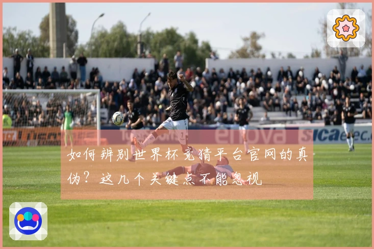 如何辨别世界杯竞猜平台官网的真伪？这几个关键点不能忽视